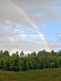 rainbow over Mountain Star Farms