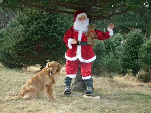 Santa likes dogs